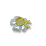 Celina Button
