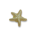Ariel Gold