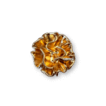 Golden Bloom